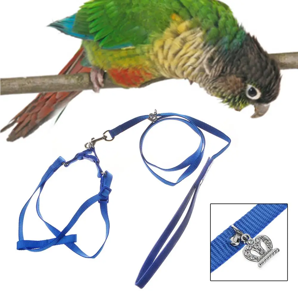 

Parrot Leash Pet Harness Outdoor Adjustable Anti Bite Training Rope Flying Band