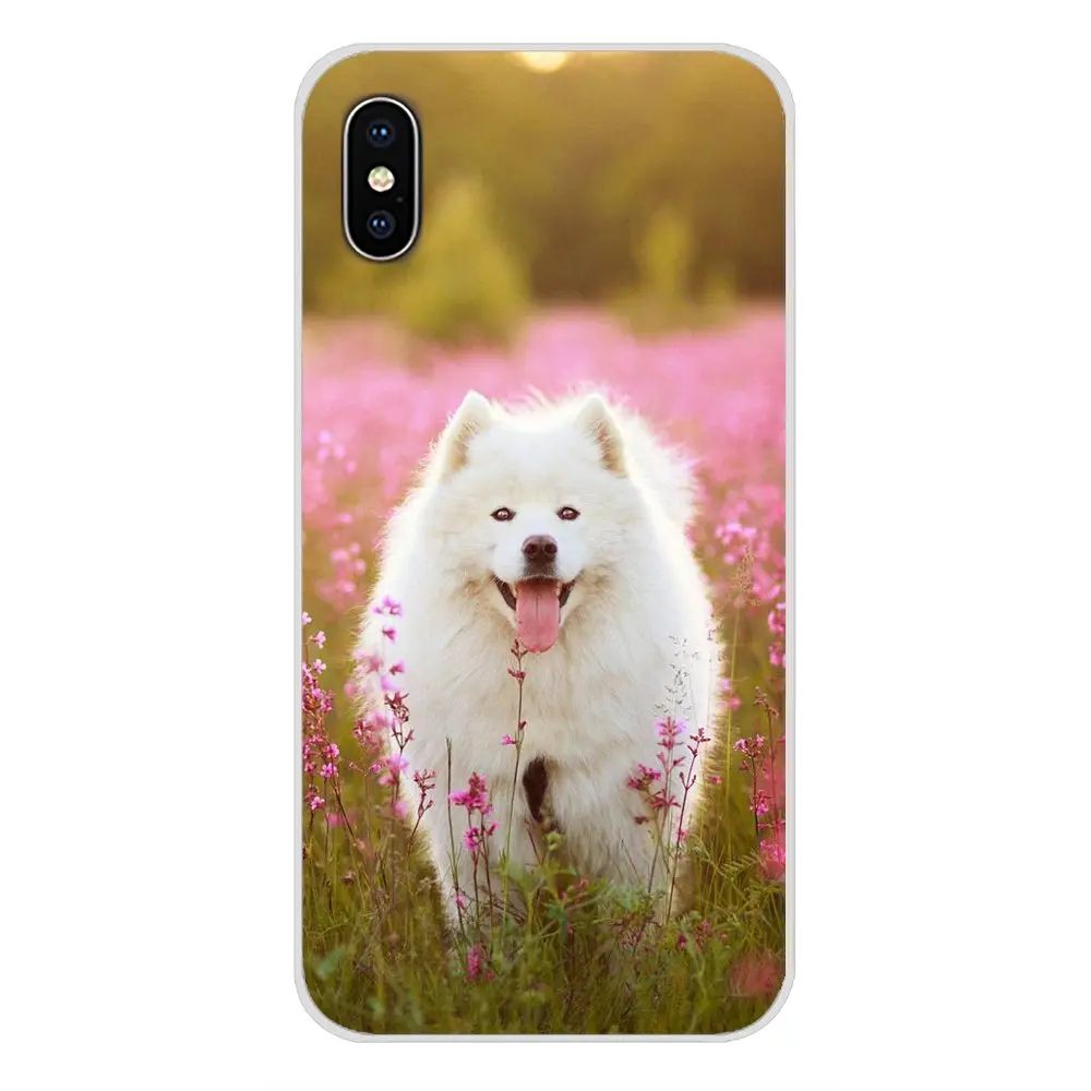 Для Apple iPhone X XR XS MAX 4 4S 5 5S 5C SE 6 6S 7 8 Plus ipod touch Аксессуары чехлы для телефонов Samoyed puppy dog