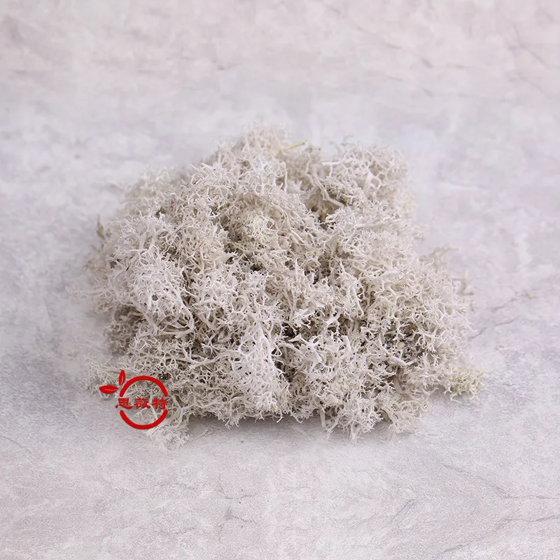 40 г многоцветный мох никогда не увядает страховые вечные цветы бесцветные Цветы