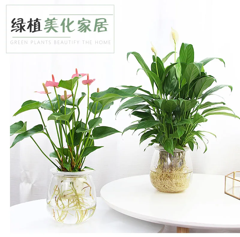 Автоматический ирригатный цветочный горшок ваза автоматический цветочный горшок с системой полива ленивая посадка круглый