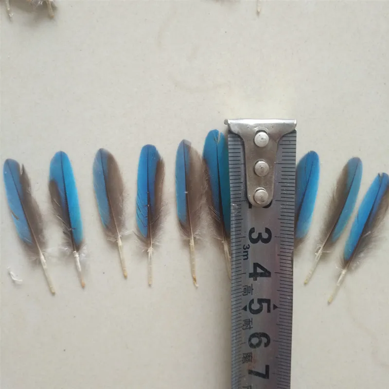 10 натуральных перьев kingfisher 3-4 см DIY украшения головной убор аксессуары перо