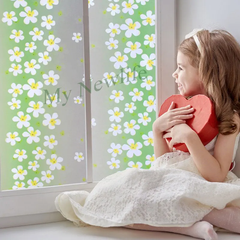 Тонированная пленка на стекло Тонизирующая наклейка окна балкона витражные