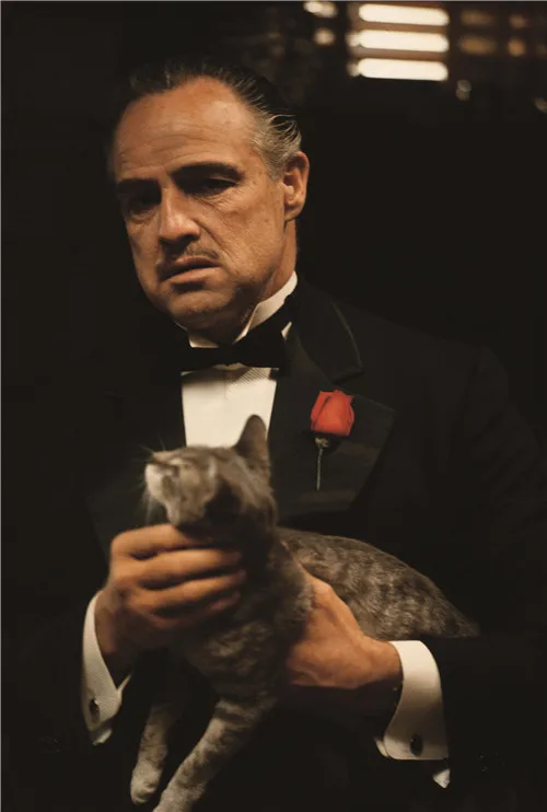 Hot Sale Custom The Godfather Classic Bedroom Setting Home Decoration High Quality Poster Prints Size 50x75cm Wall Sticker #1222 | Дом и сад