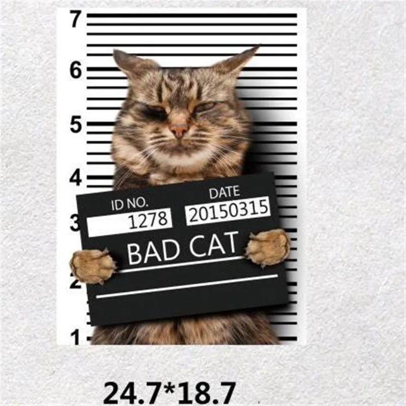 Термопечать на футболке 24 см нашивка из ПВХ в виде плохого кота и сердца для