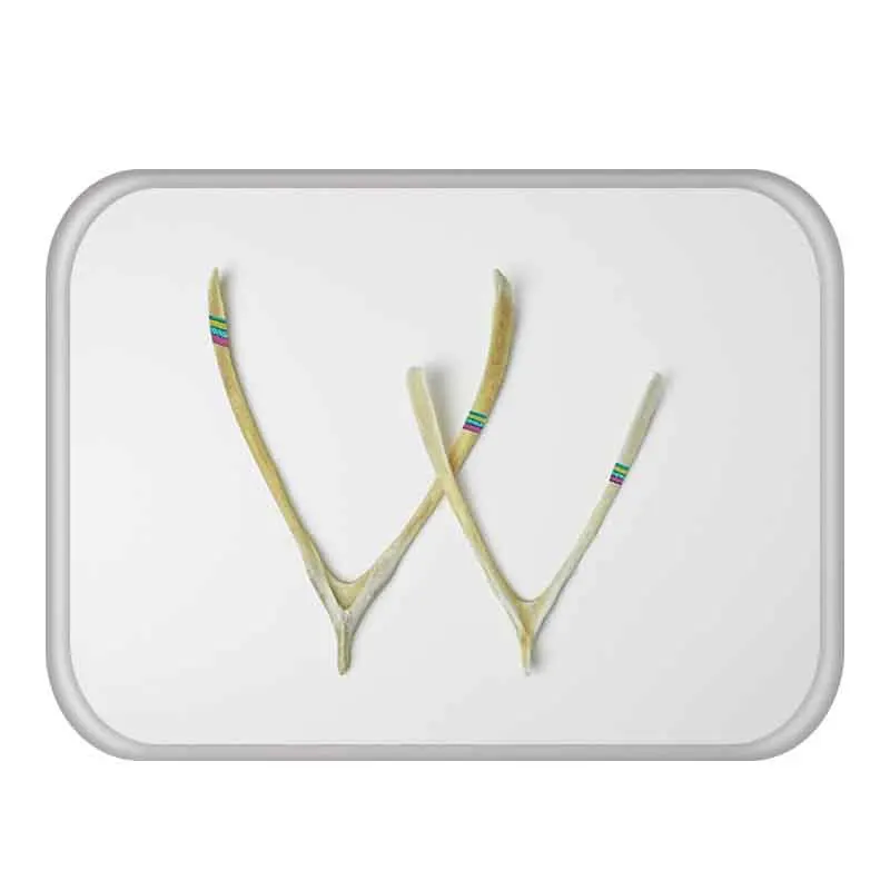 1 шт. 40*60 см Птица Географические карты с рисунком ананаса противоскользящие