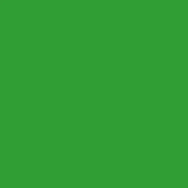 parrot green 100 шт A4 цветная офисная печать копировальная бумажная основа беспылевые частицы печатная машина без карт широкий спектр применения - Цвет: parrot green