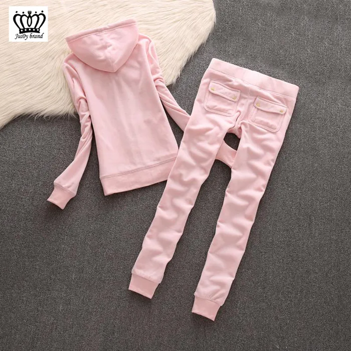 Pink Женский брендовый Бархатный спортивный костюм, брючный костюм, Велюровый костюм, женский спортивный костюм, 2 вещи, толстовки и штаны синего цвета - Цвет: Pink