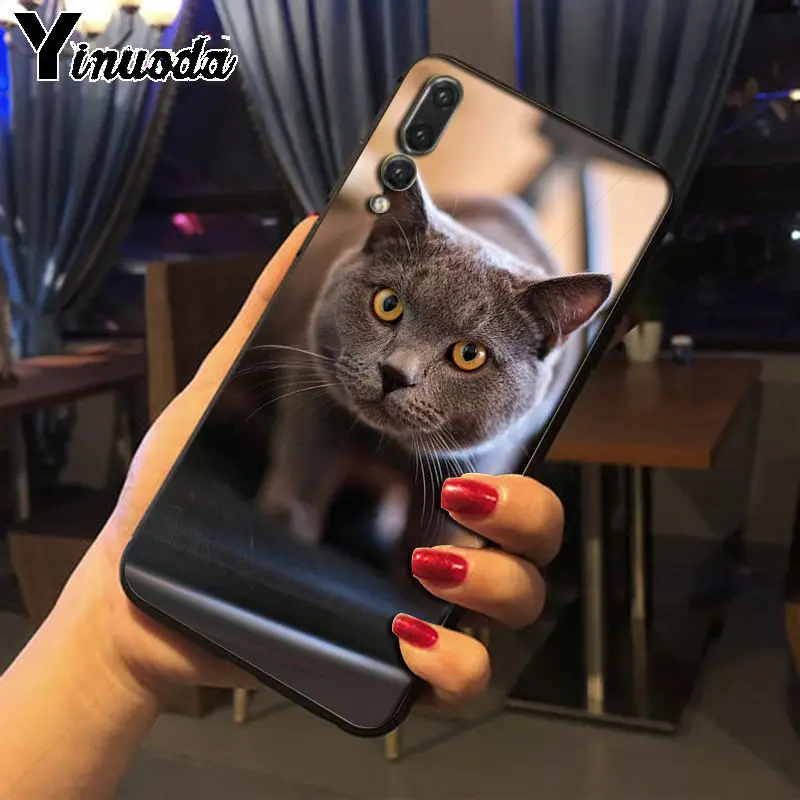 Yinuoda Британский короткошерстный чехол для телефона с кошкой Huawei P20pro mate10lite p9 p10plus