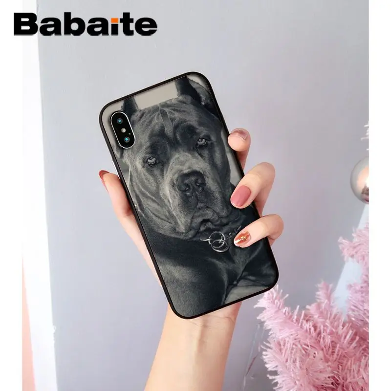 A13 Babaite прекрасный питомец питбуль Новинка чехол для телефона Fundas чехол для iPhone X XS MAX 6 6S 7 7plus 8 8Plus 5 5S XR чехол - Цвет: A13