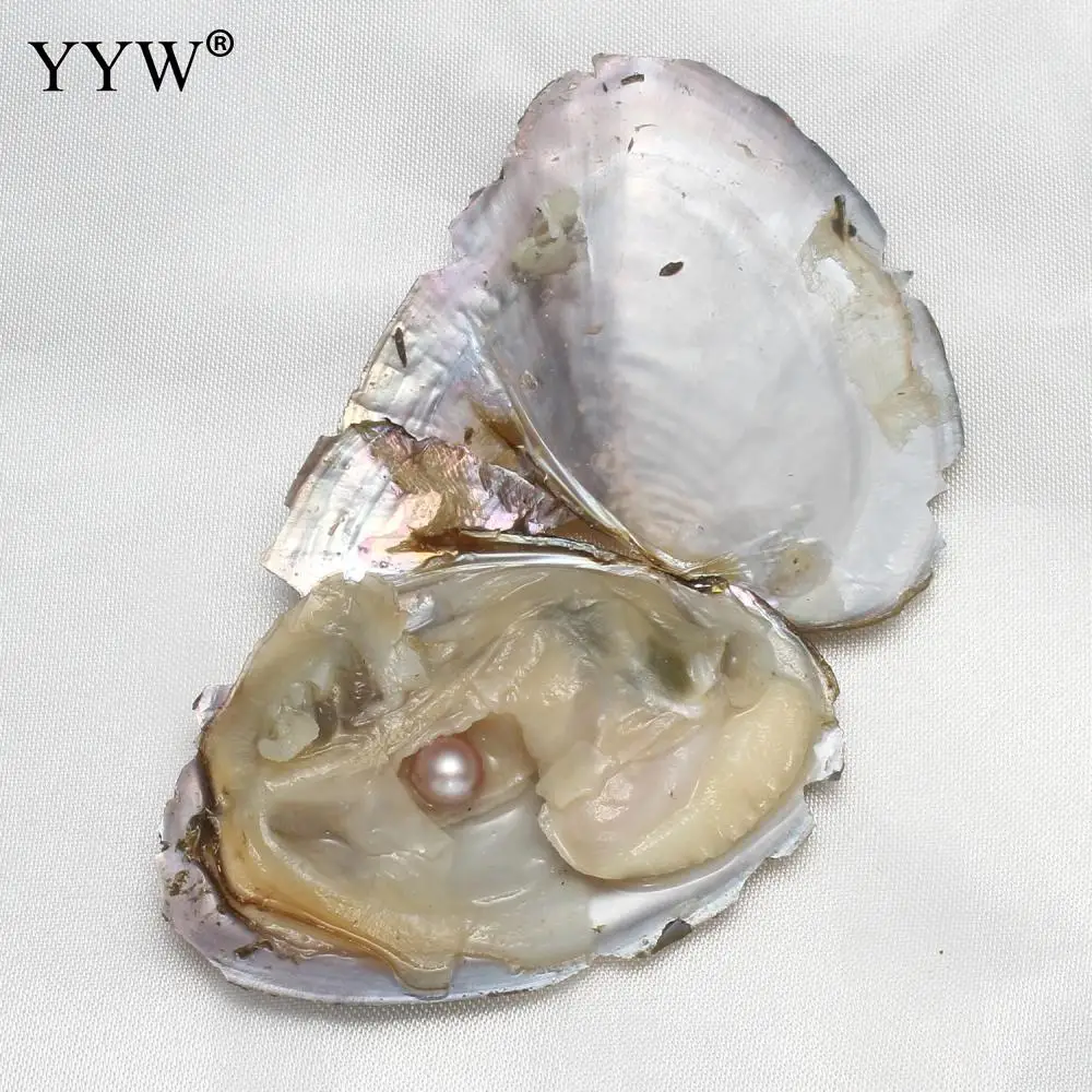YYW смешанные цвета 10 шт./лот вакуумная упаковка одна раковина из муселя