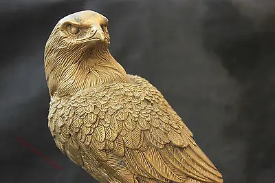 Китайская культура медная Бронзовая статуя птица goshawk Сова Орел скульптура