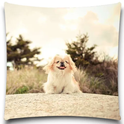 

Natural Design Colorful Animal Cushion Cover Cute Dog Cotton Polyester Pillow Case Home Decor
