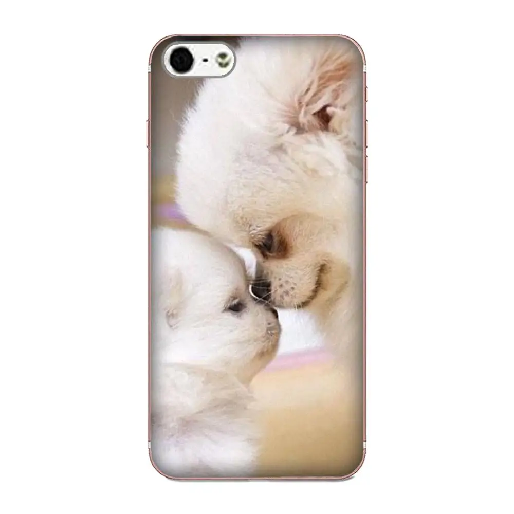Pomeranian Puppy Dog мягкий оригинальный для Huawei P7 Honor 4C 5A 5C 5X 6 6C 6A 6X 7 7X 8 9 V8 V10 Y3II Y5II Y6II G8 Play Lite