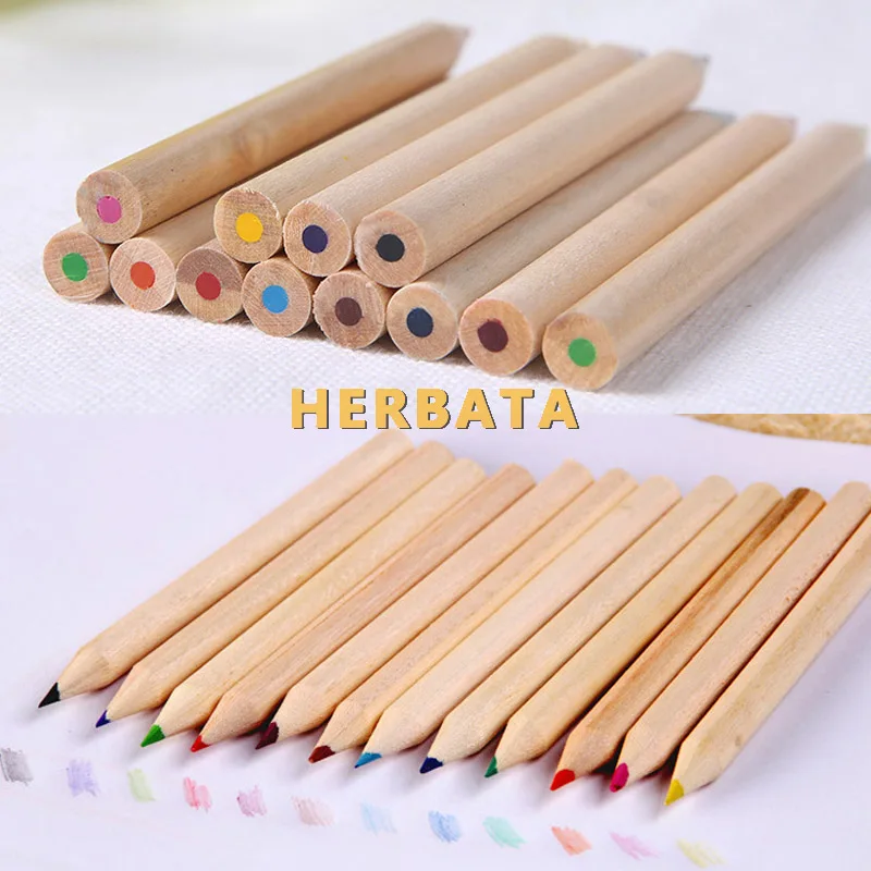 Бесплатная доставка 12 видов цветов художника Профессиональный тонкий рисунок