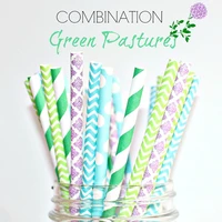 100pcs mixed colors green pastures party paper strawslime and aqua chevronpurple damaskkelly green stripeddrinkingbulk