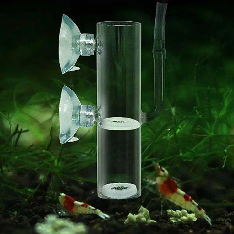 

Aquarium Egg Incubator Hatch Crystal Shrimp Fish Tank Transparent Glass Supplies