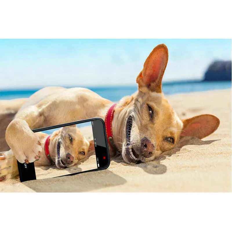 

5D DIY square Full Diamond Embroidery icon dog diamond painting Cross Stitch animal pattern Rhinestones painting art