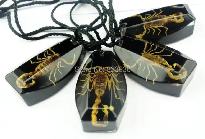 Ожерелье из черной смолы с образцом настоящего золотого скорпиона 10 шт.|necklace