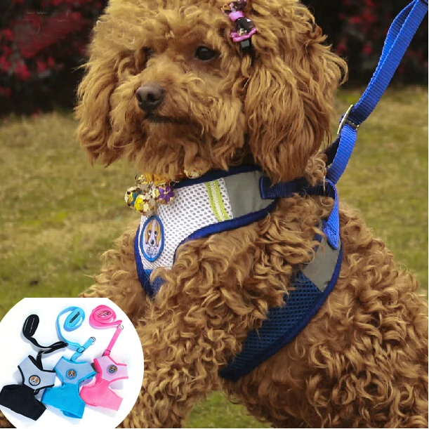 Флейта и поводок флейта для маленьких средних собак|mesh dog harness|dog harnessdog harness and leash |