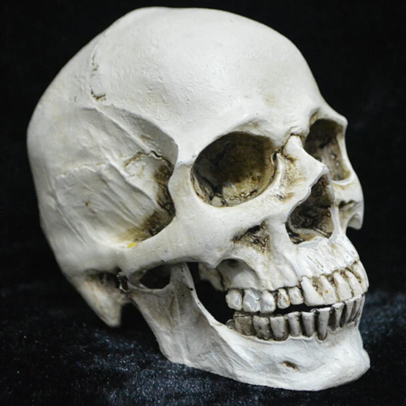 Имитация черепа сепарация зубов игрушки для Хэллоуина резиновые приколы череп