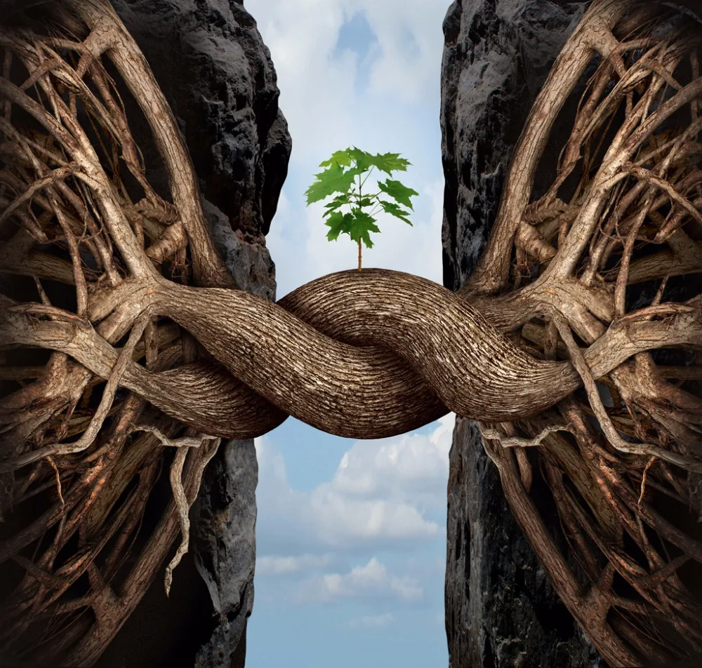 2017 новые фото печать затемненные оконные шторы для спальни креативные дерево