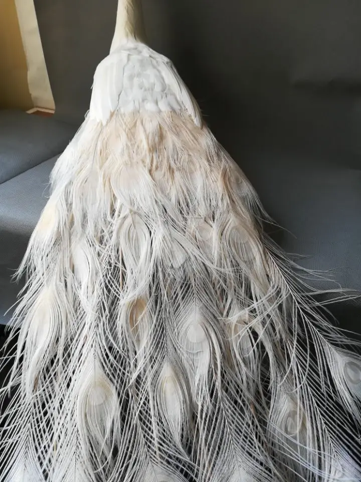 real life Bird white feathers Peafowls large 120cm peacock home garden decoration filming prop gift h1489 | Игрушки и хобби