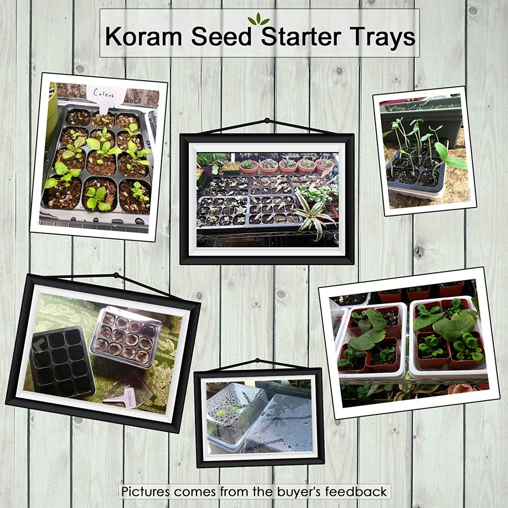 Коробочка для выращивания семян KORAM набор из 10 предметов с 12 ячейками купольными