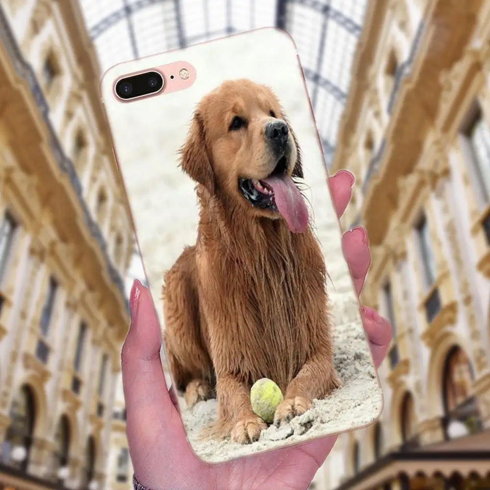 Вызова Box Подходит для породы золотистый ретривер со вставкой из ТПУ телефона с