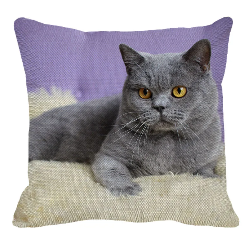 

XUNYU 45cmx45m pet British shorthair new pillowcase cotton comfort cushion set home car sofa decoration pillowcase YH033