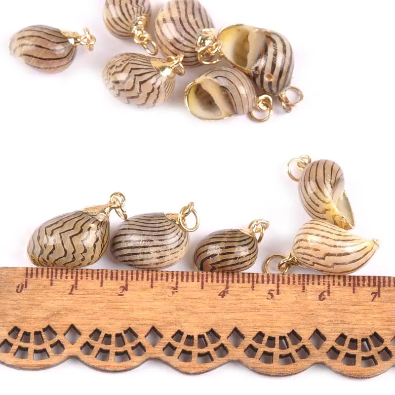 5 шт. украшение для дома натуральная полоса спираль позолоченные ракушки