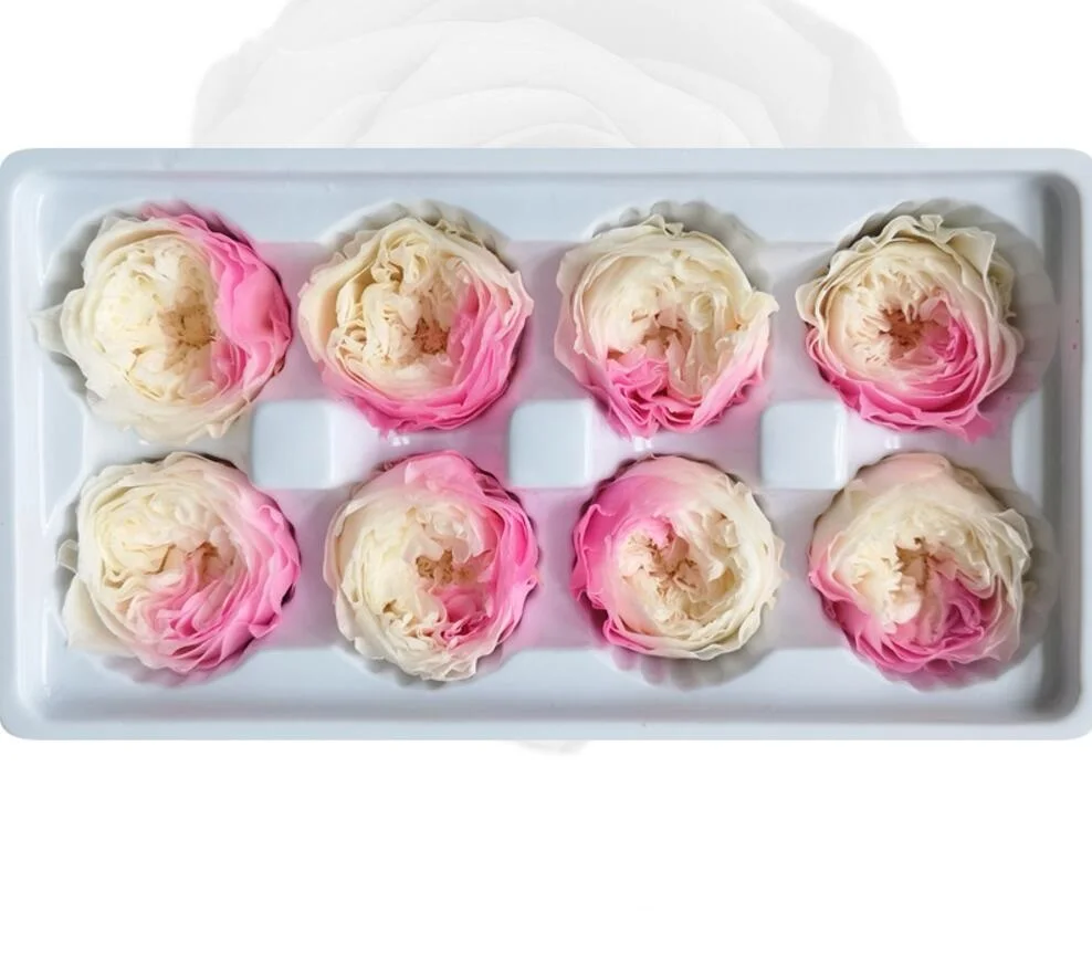 8pcs 4-5cm Preserved Flower Austin Rose Bud Head For Wedding Party Holiday Birthday Velentine's Day Gift Favor | Дом и сад