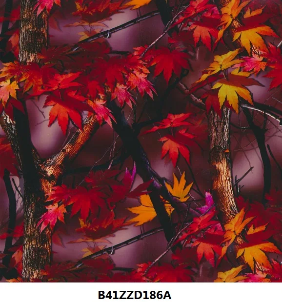 Liquid Image куб. передачи печати пленки для гидрографической application NO. B41ZZD186A|film for