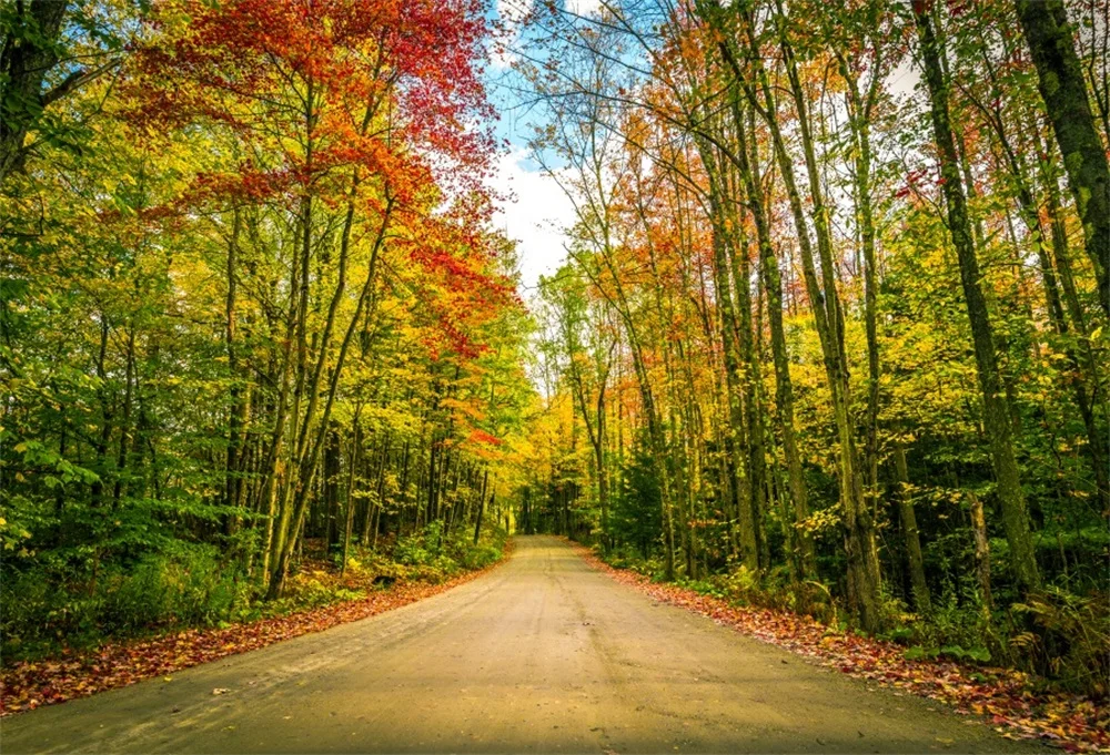 Laeacco Autume желтые Живописные фоны для фотосъемки на заказ фотостудии | Электроника