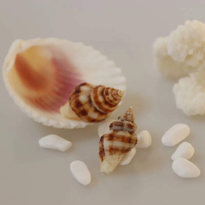 Бесплатная доставка (50 шт./лот) кофейные линии оболочки натуральный корпус &