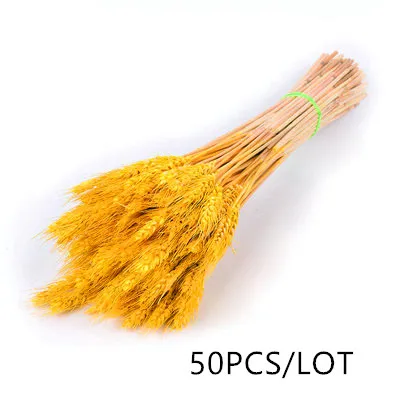 yellow 50 шт./лот, искусственные уши пшеницы, Натуральные сушеные цветы, букет зерна для украшения свадебной вечеринки, сделай сам, скрапбук, украшение для дома - Цвет: yellow