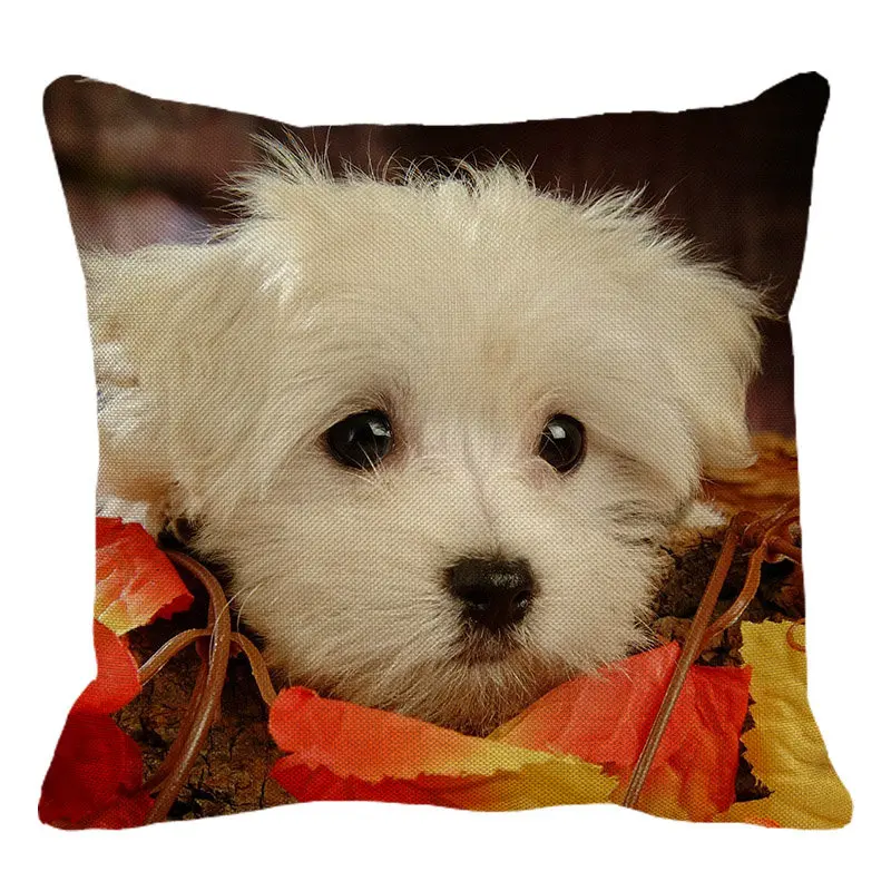 Xunyu милое животное Чехлы Bichon Frise Подушка Чехол для подушки из льна Диван-Кровать Декоративные диванные подушки Чехол размером 45*45 см C0013 - Цвет: 5