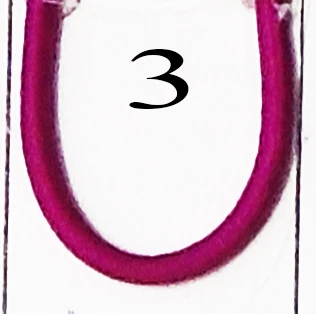 Color 3 ZIEENE 1 ярд диаметр 3 мм круглые эластичные шнуры тянущаяся резиновая веревка нейлон для браслета бусины полоски для волос шнурки 112 цветов - Цвет: Color 3