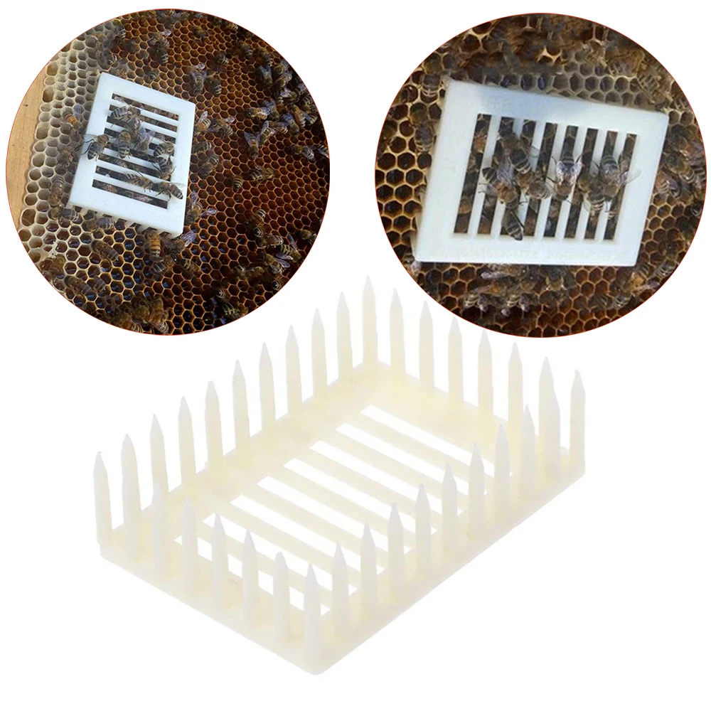 4 шт. пчелы королева клетки инструменты королевская клетка номер воспитание