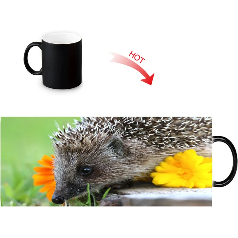 Волшебная кружка hedgehog меняющая цвет чая керамическая под заказ кофейные
