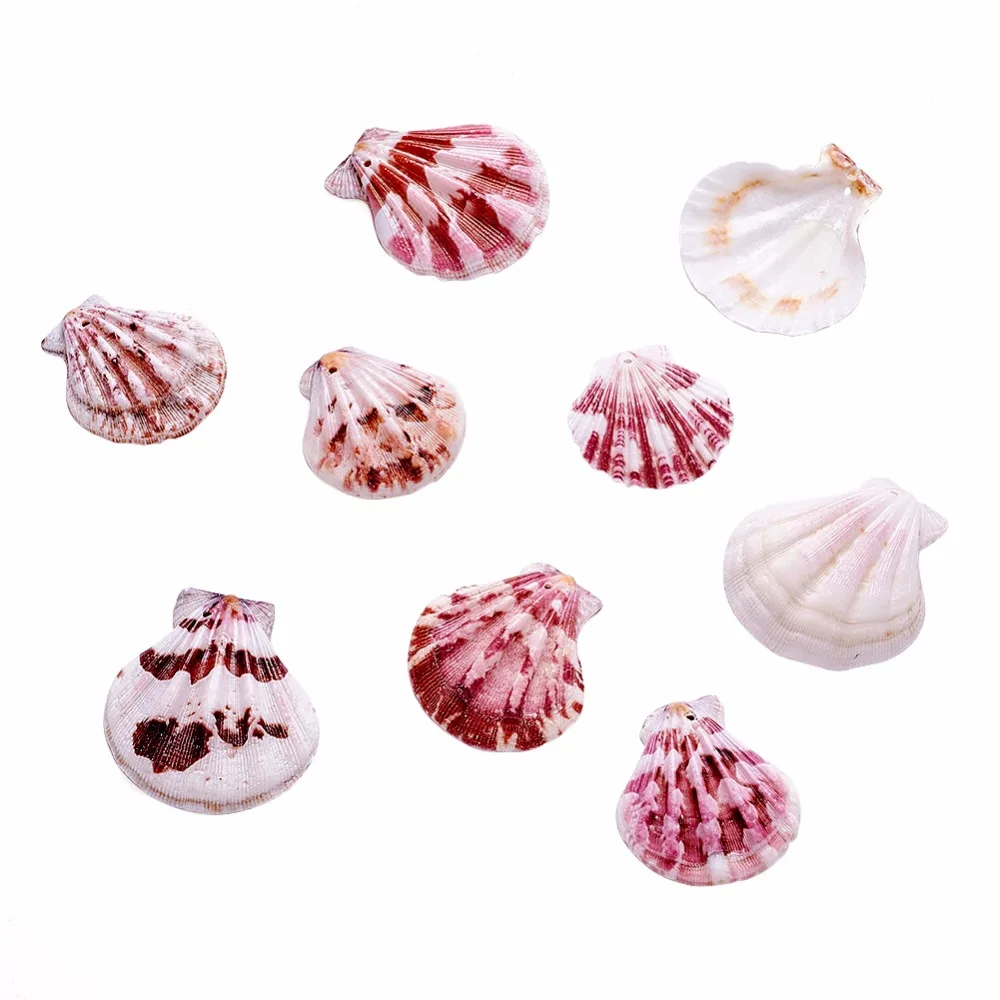 

Pandahall 90pc/500g Sea Shell Beads Beach Beads Dyed Goldenrod For DIY Jewelry Accessories Finding Making Necklaces,39~45*37~42