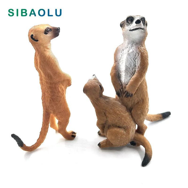 Моделирование маленькая фигурка Meerkat модель животного бонсай для домашнего