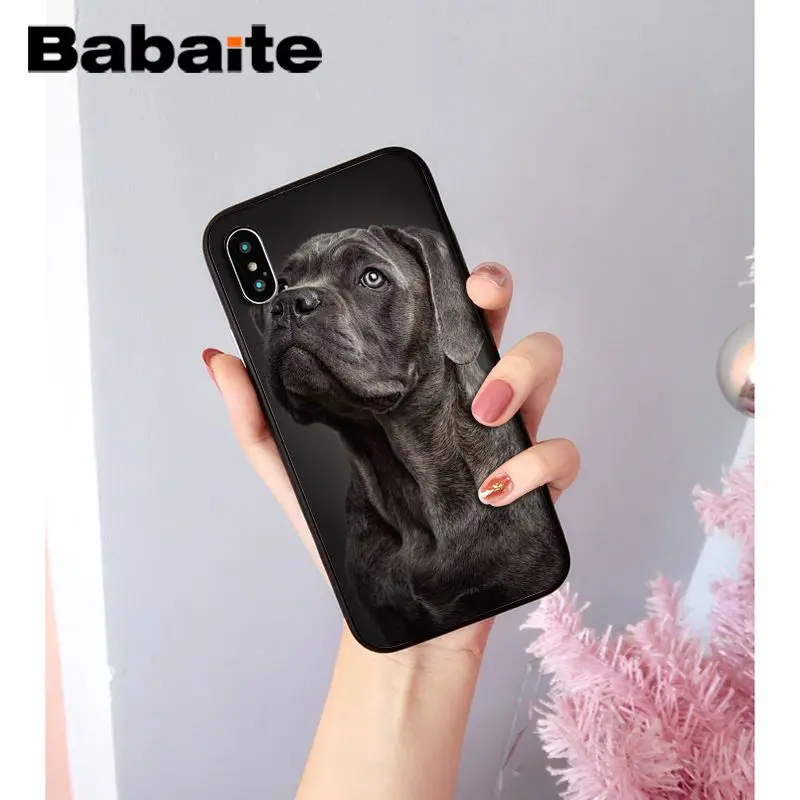 A7 Babaite прекрасный питомец питбуль Новинка чехол для телефона Fundas чехол для iPhone X XS MAX 6 6S 7 7plus 8 8Plus 5 5S XR чехол - Цвет: A7