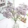 Натуральные сухие цветы Букеты транслюцид искусственные и сушеные цветы детское дыхание цветочный свадебный букет вечерние Декор L0604
