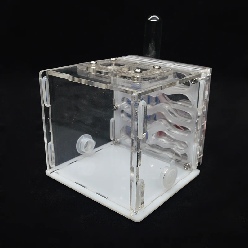 DIY acryl Ant ферма Муравьиное гнездо с питанием площадка муравей дом для домашних животных Anthill мастерской муравей дом с увлажняющей водной башней 8*8*10 см