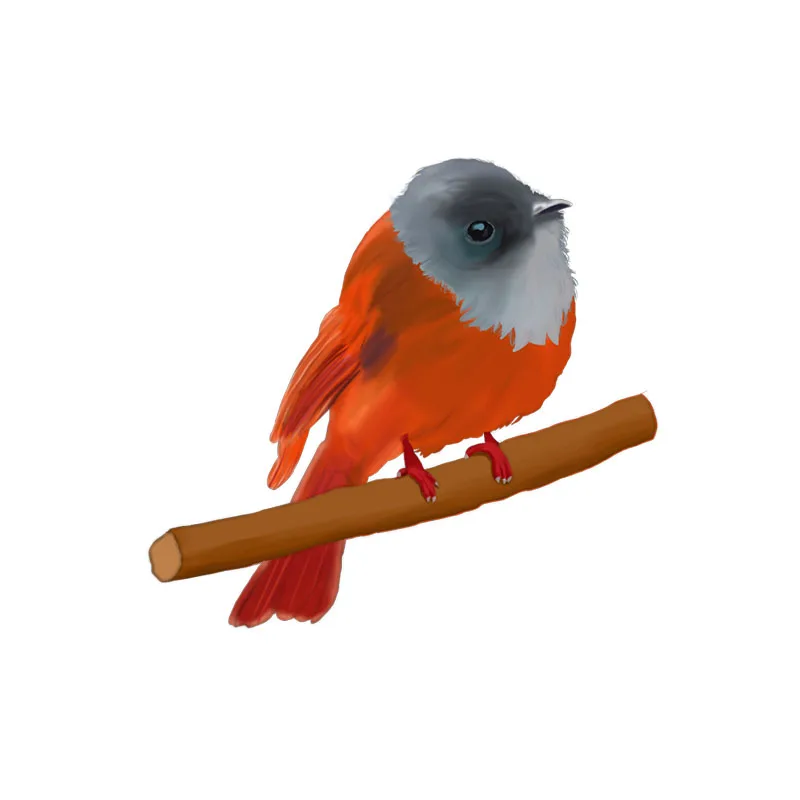 YOJA 21.2X19.4CM Lovely Bird Toilet Wall Sticker Decal Home Decoration Funny Animal T3-1230 | Дом и сад