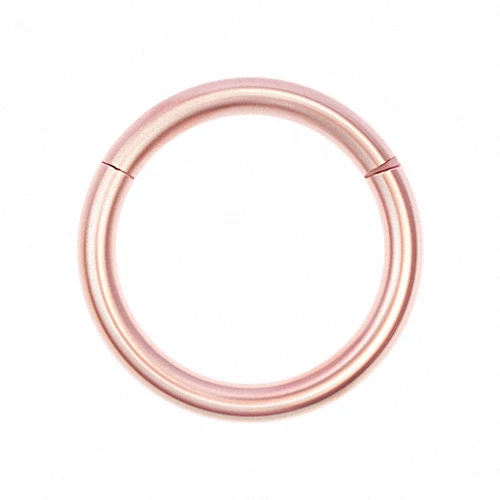 Rose Gold Круглые серьги-кольца из титана цвета розового золота с трагусом-6 мм 8 мм 10 мм 12 мм 16 г 1,2 мм - Окраска металла: Rose Gold