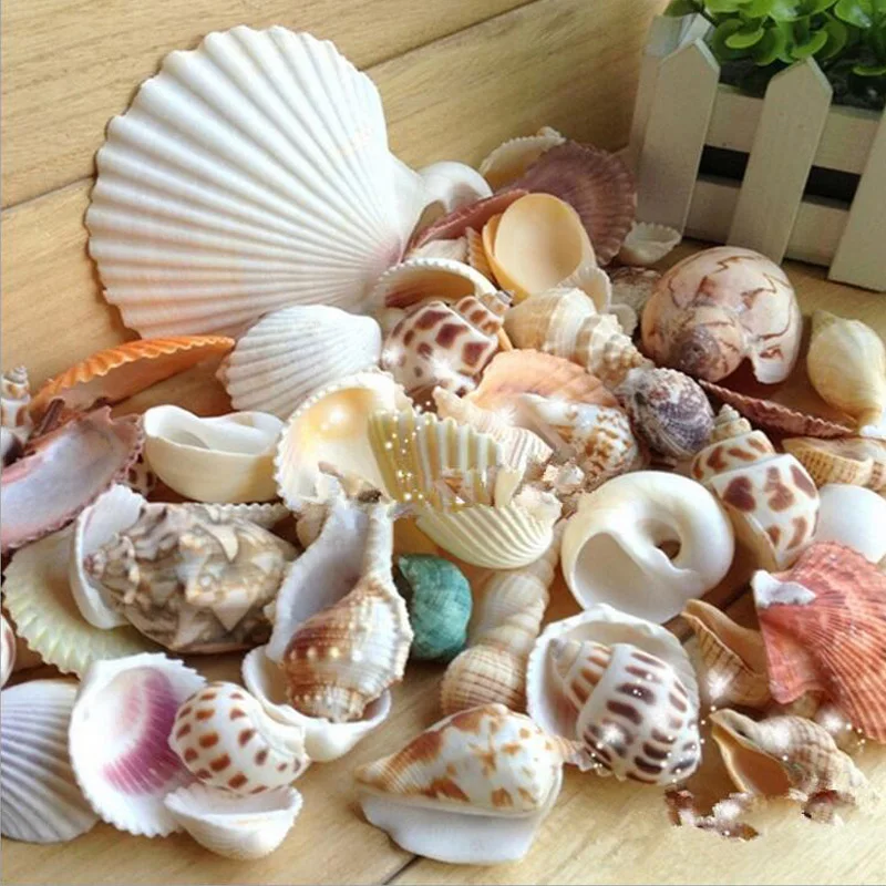 Натуральные морские ракушки украшения смешанные в средиземноморском стиле