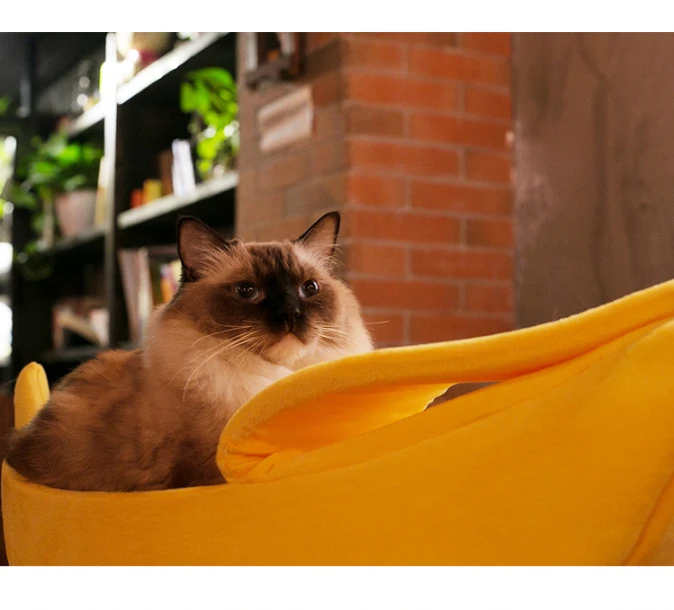 Small pet Cat Dog Bed House Banana model Soft Warm Velvet Nesting | Дом и сад