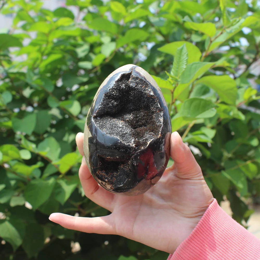 

780g Natural curvature of the furnishing articles Turtle grain stone egg Ball Septarian nodule Crystal Healing quartz 54