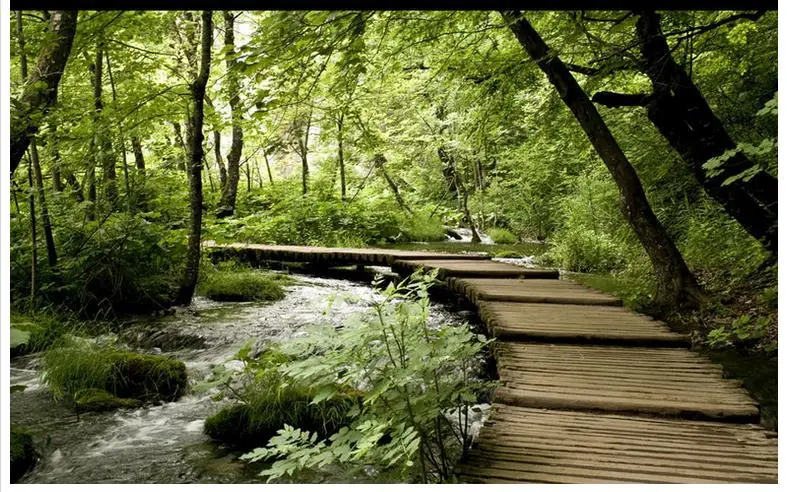 Пользовательские фото обои 3d настенные фрески мост Космос фон для гостиной